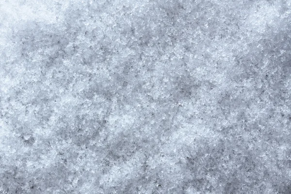 Sneeuw — Stockfoto