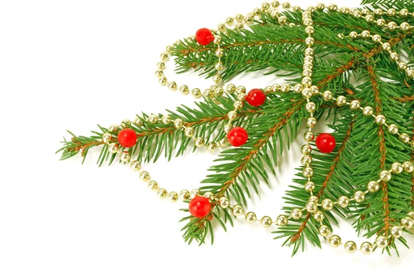Decorated with fir branches — Stock Photo, Image