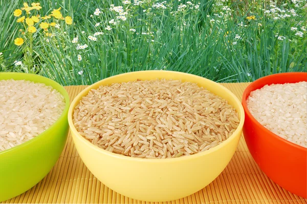 Tre tipi di riso in piatti — Foto Stock