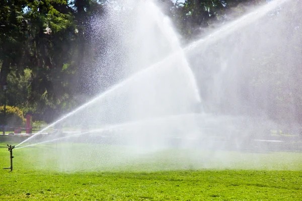 Lawn watering — Stock Photo, Image
