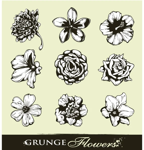 Conjunto de flores grungy — Vetor de Stock