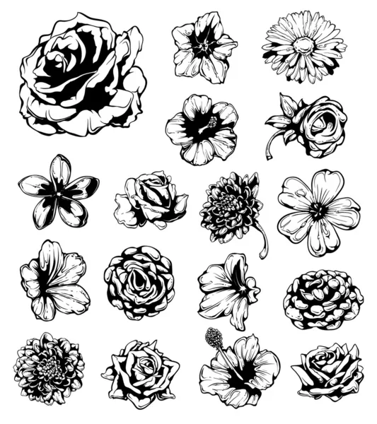 Set of grungy flowers — Stock Vector