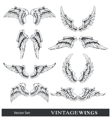 Vector set of wings