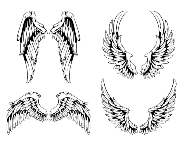 Векторный набор крыльев — стоковый вектор
