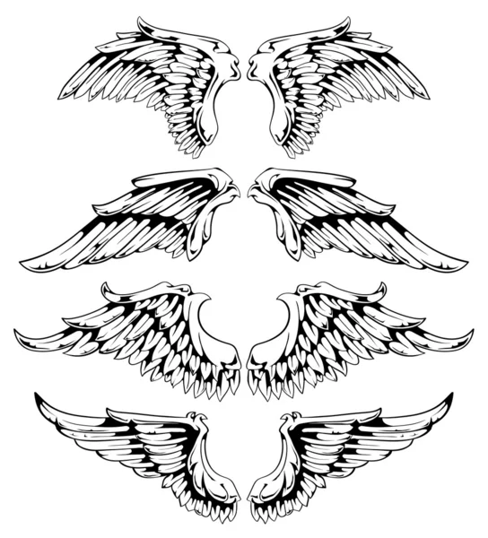Conjunto vectorial de alas — Archivo Imágenes Vectoriales