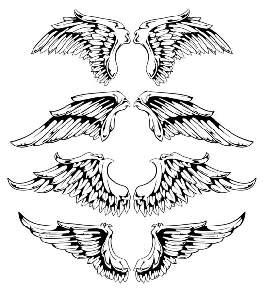 Vector set of wings — Stock Vector