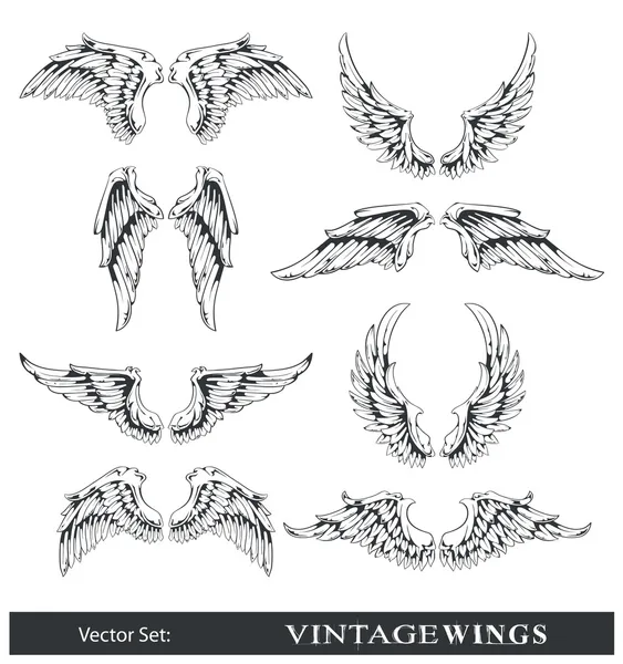 Векторный набор крыльев — стоковый вектор