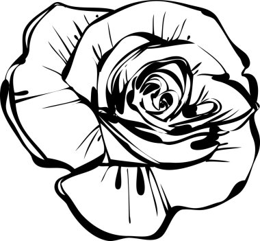 Sketsh of rose clipart