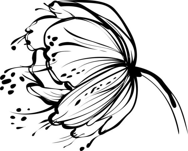 Broto de flor branca — Vetor de Stock