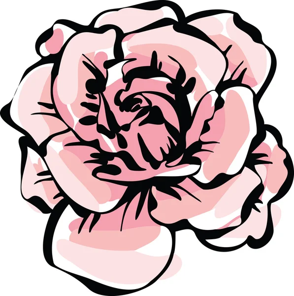 Нежный цветок розы — стоковый вектор