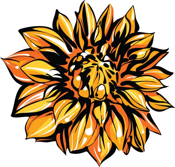 Цветной эскиз хризантемы — стоковый вектор
