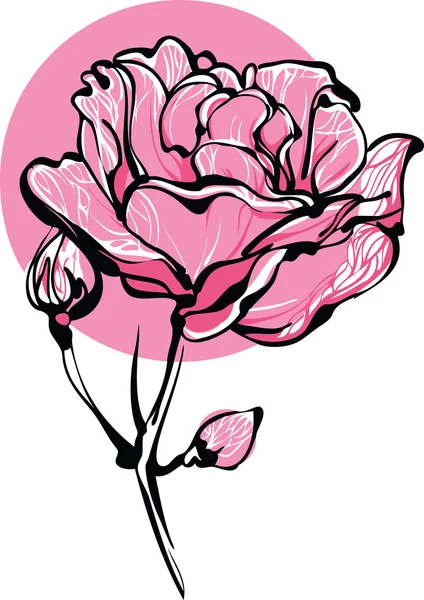 白い背景の上の芽の装飾的なピンクのバラ — ストックベクタ