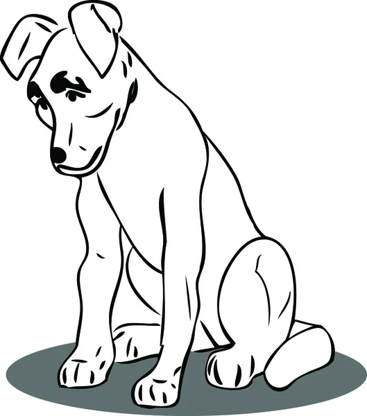 Svartvit bild hund sitter — Stock vektor