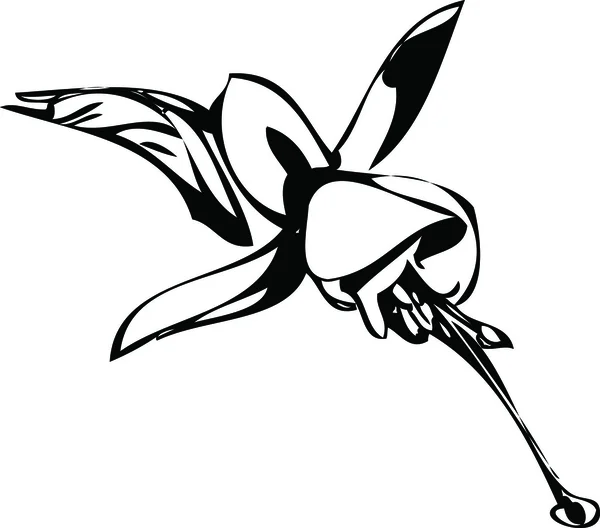 Botão de flor preto e branco imagem — Vetor de Stock