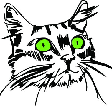 Muzzle of a cat with green eyes clipart