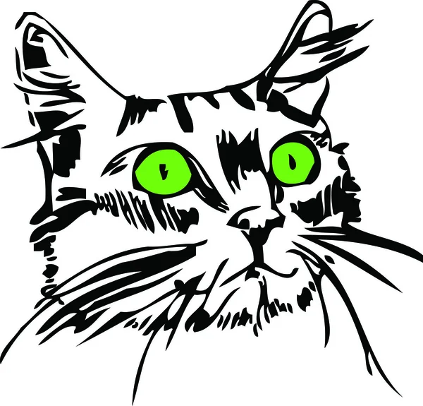 Ρύγχος του μια γάτα με τα πράσινα μάτια — Διανυσματικό Αρχείο