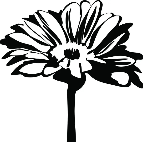 Imagem em preto e branco da natureza flor margarida no talo —  Vetores de Stock