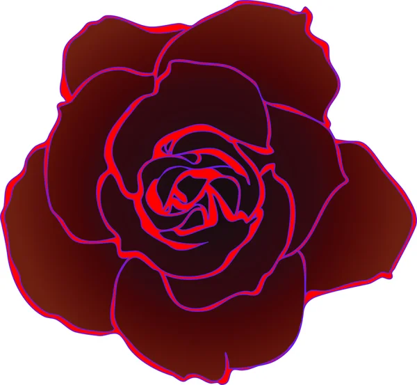 Färgbild av naturen på en vit bakgrund rose — Stock vektor