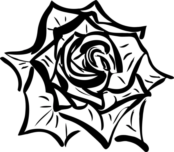 Soda skica květiny připomínající růže — Stockový vektor