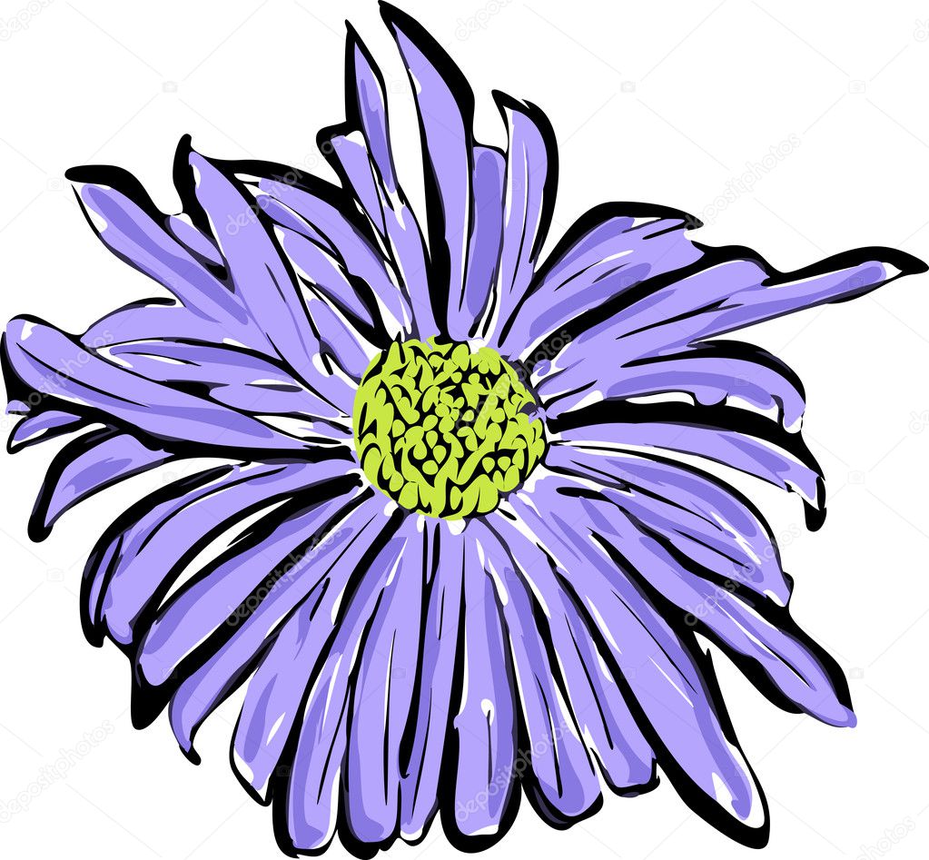 Sketch of the blue flower resembling a daisy