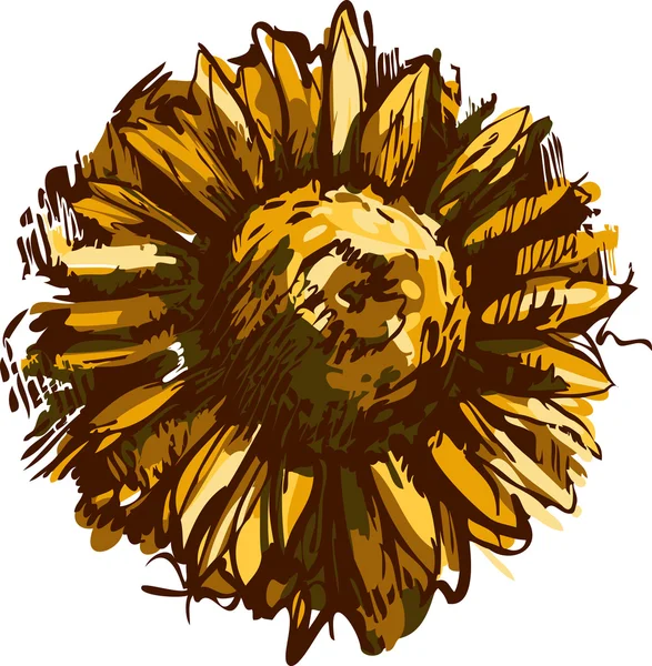 Цветущий набросок цветка растения подсолнечное поле — стоковый вектор