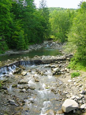 River in Carpathian mountains clipart