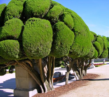 Buen-Retiro park, Madrid, Spain clipart
