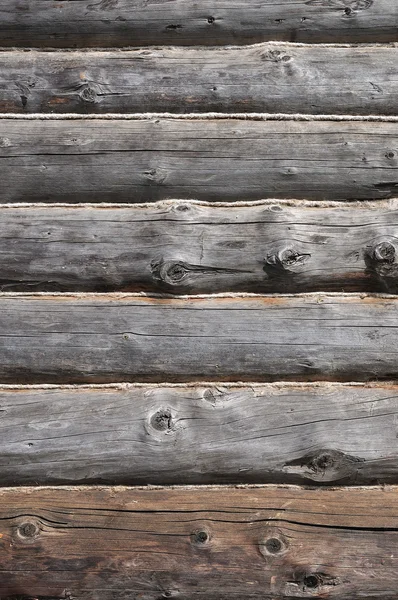 Troncos de madeira velhos — Fotografia de Stock