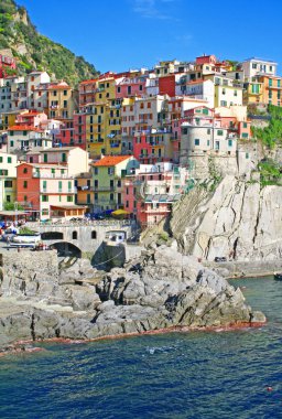 Italy. Cinque Terre. Manarola clipart