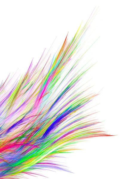 Cauda multicolorida — Fotografia de Stock