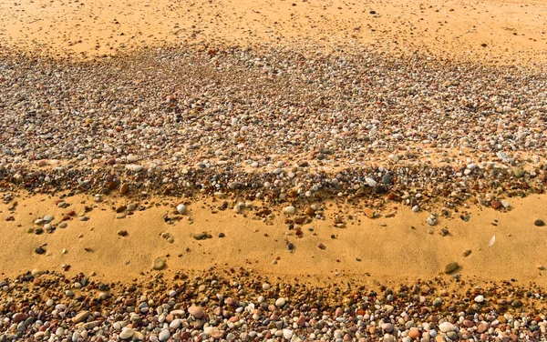 stock image Beach template