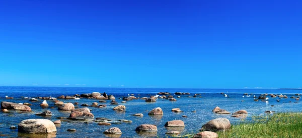 Panorama Baltık Denizi — Stok fotoğraf