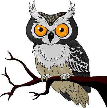 Night Owl clipart