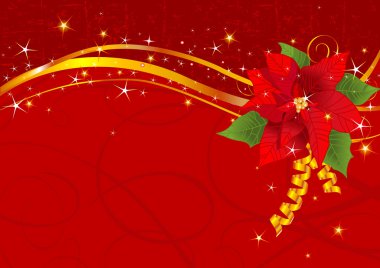 Christmas poinsettia background clipart