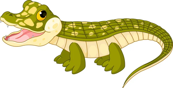 Baby crocodile — Stock Vector