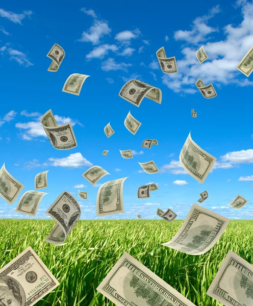Dollars on background sky and herbs. — Stock Photo, Image