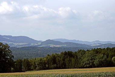 Avusturya Alplerinde vadide