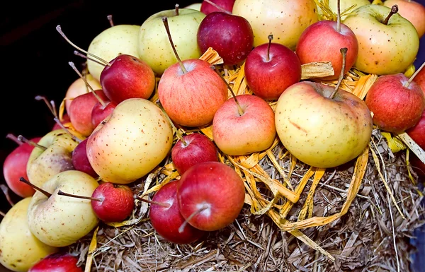 わらの秋のリンゴ — ストック写真