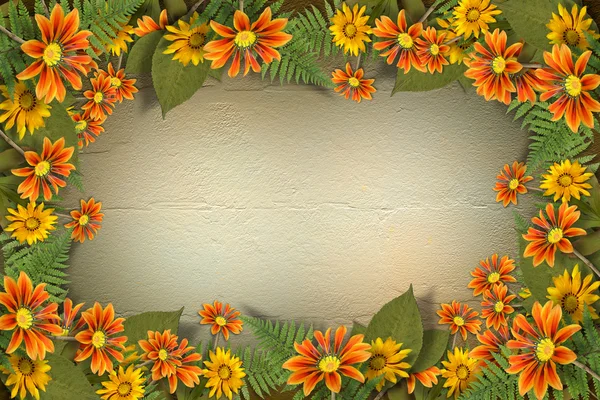 Гербарій з квітів і листя на квітковому тлі з фр — стокове фото