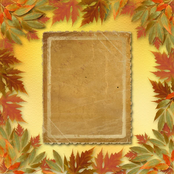 Bright autumn leaves on the abstract with paper frame — Stock Photo, Image