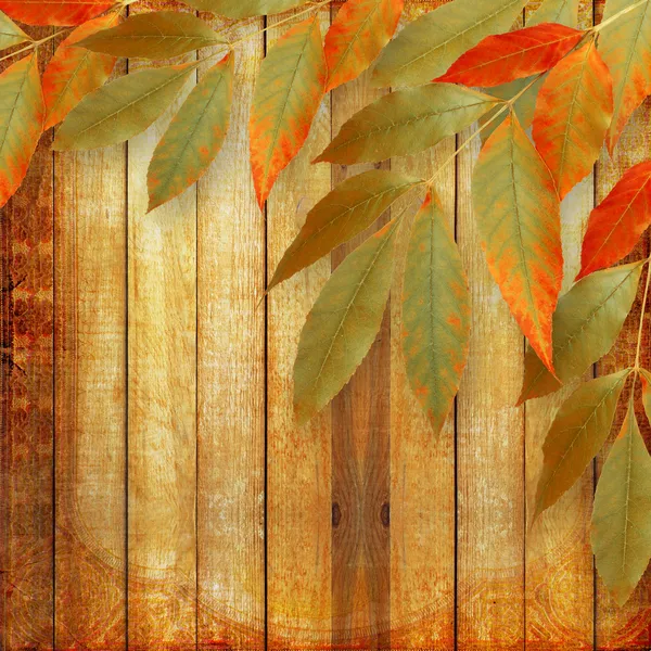 木制的背景上明亮秋天的树叶 — 图库照片