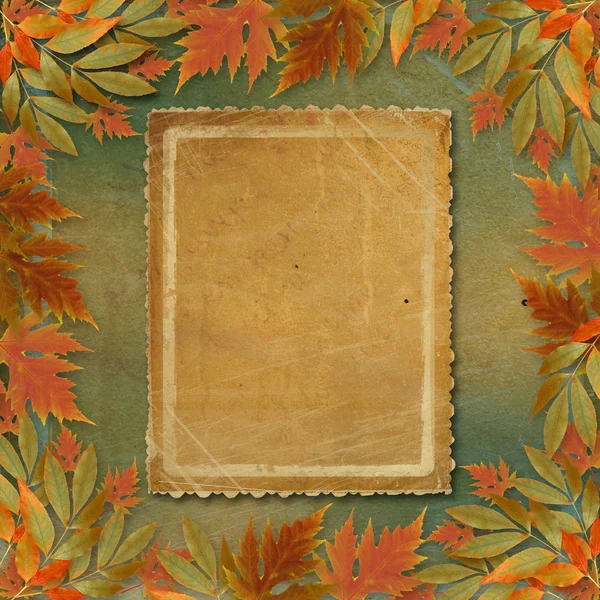 紙フレームと抽象的で明るい秋の葉します。 — ストック写真