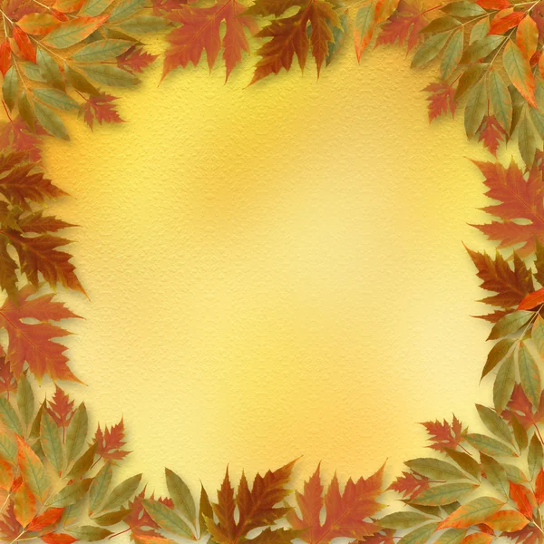 Helle Herbstblätter auf dem Abstrakten mit Papierrahmen — Stockfoto