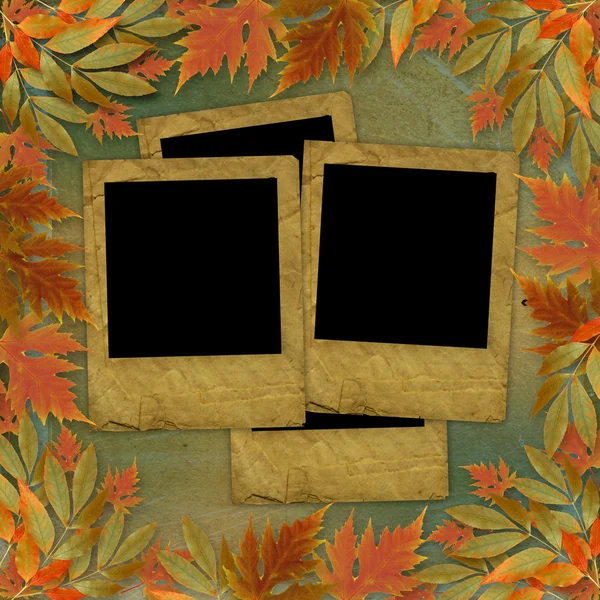Světlé podzimní listí na abstraktní s rámem papíru — Stock fotografie