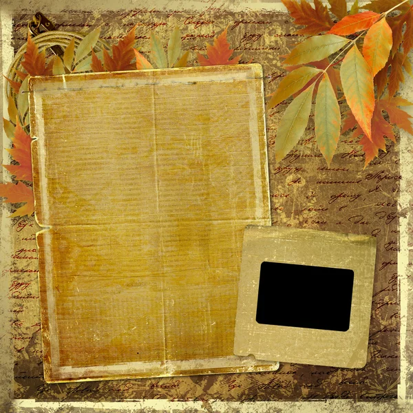 Grunge papers design in scrapbooking style with foliage and blan — Stock Photo, Image