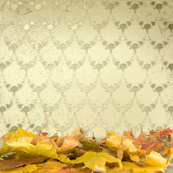 stock image The fallen leaves on the background wall with vintage wallpaper