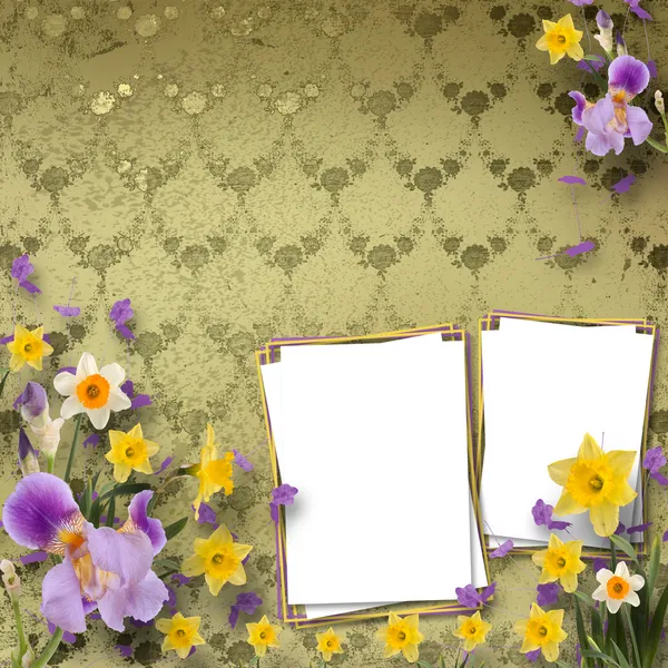 Όμορφη πλαίσιο με ίριδες και daffodils στο παρασκήνιο την — Φωτογραφία Αρχείου