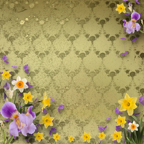 Hermoso marco con iris y narcisos en el fondo la —  Fotos de Stock