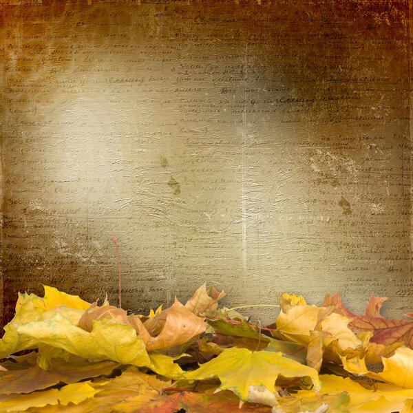 The fallen leaves on the background wall with vintage wallpaper