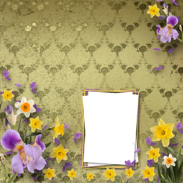 Vacker ram med Iris och påskliljor på bakgrunden till — Stockfoto